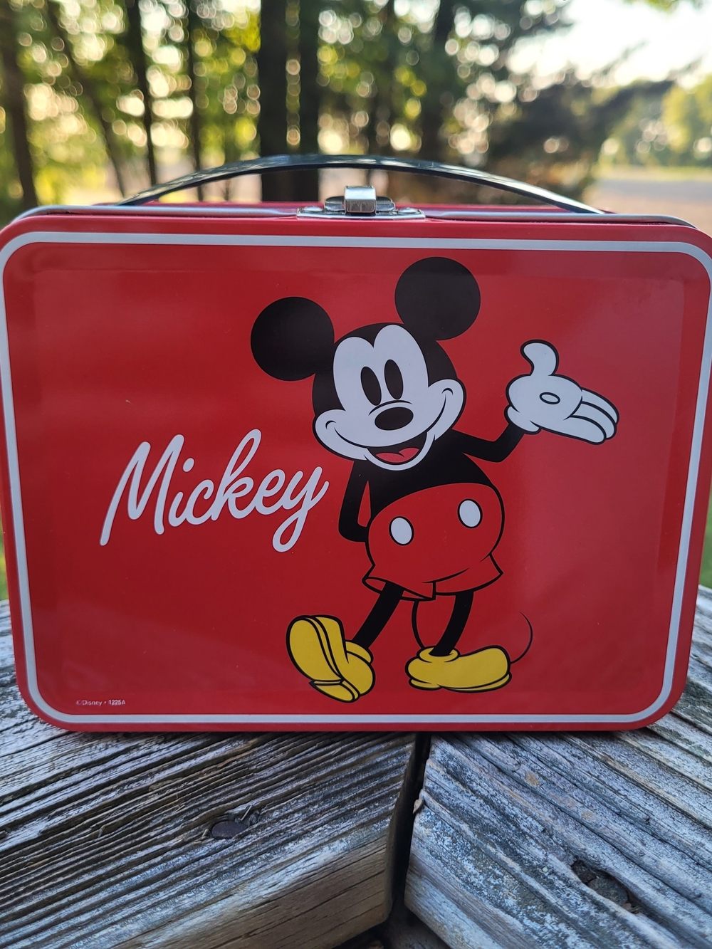 Metal Lunchbox Pick One - Picture 11 of 13